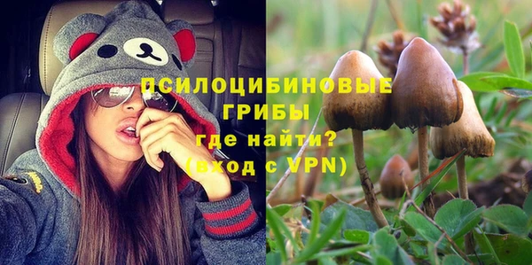 стафф Аркадак