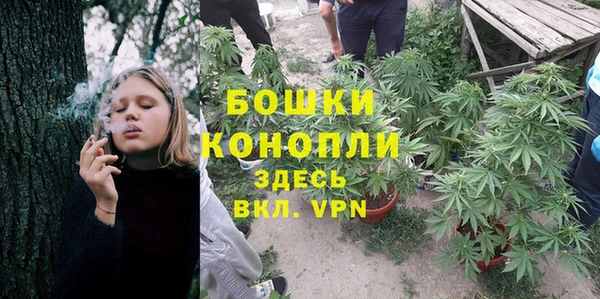 spice Зеленокумск