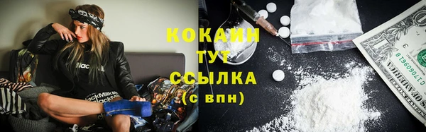 стафф Аркадак